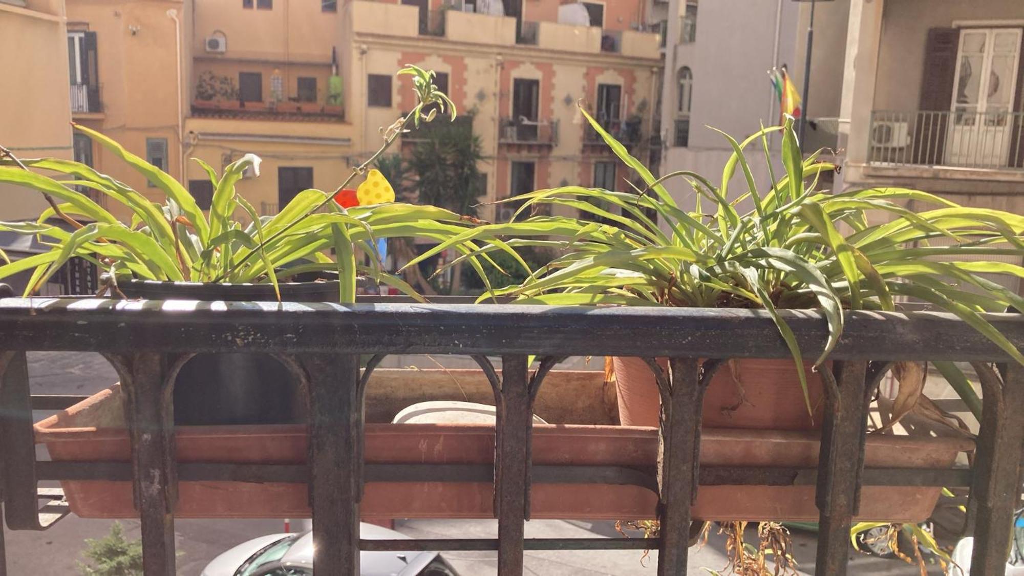 Casa Empedocle Lejlighed Palermo Eksteriør billede